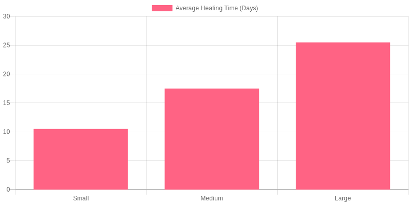 Average Healing Times for Tattoos
