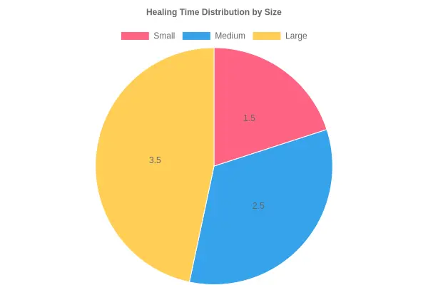 Healing Time Distribution by Size
