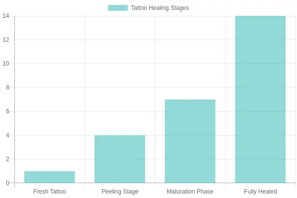 Tattoo Healing Stages Infographic