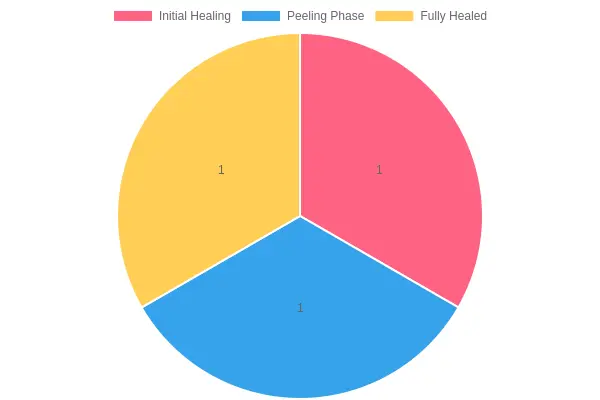 Tattoo Healing Stages